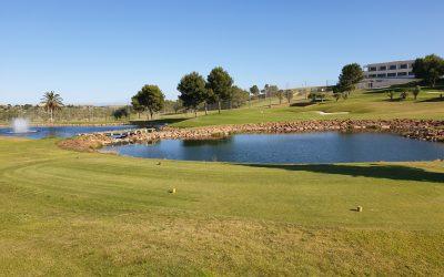 10 Reasons to Live at Alenda Golf