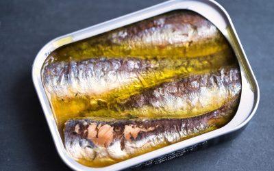 Tinned Sardines as a Nutritional Goldmine for Golfers