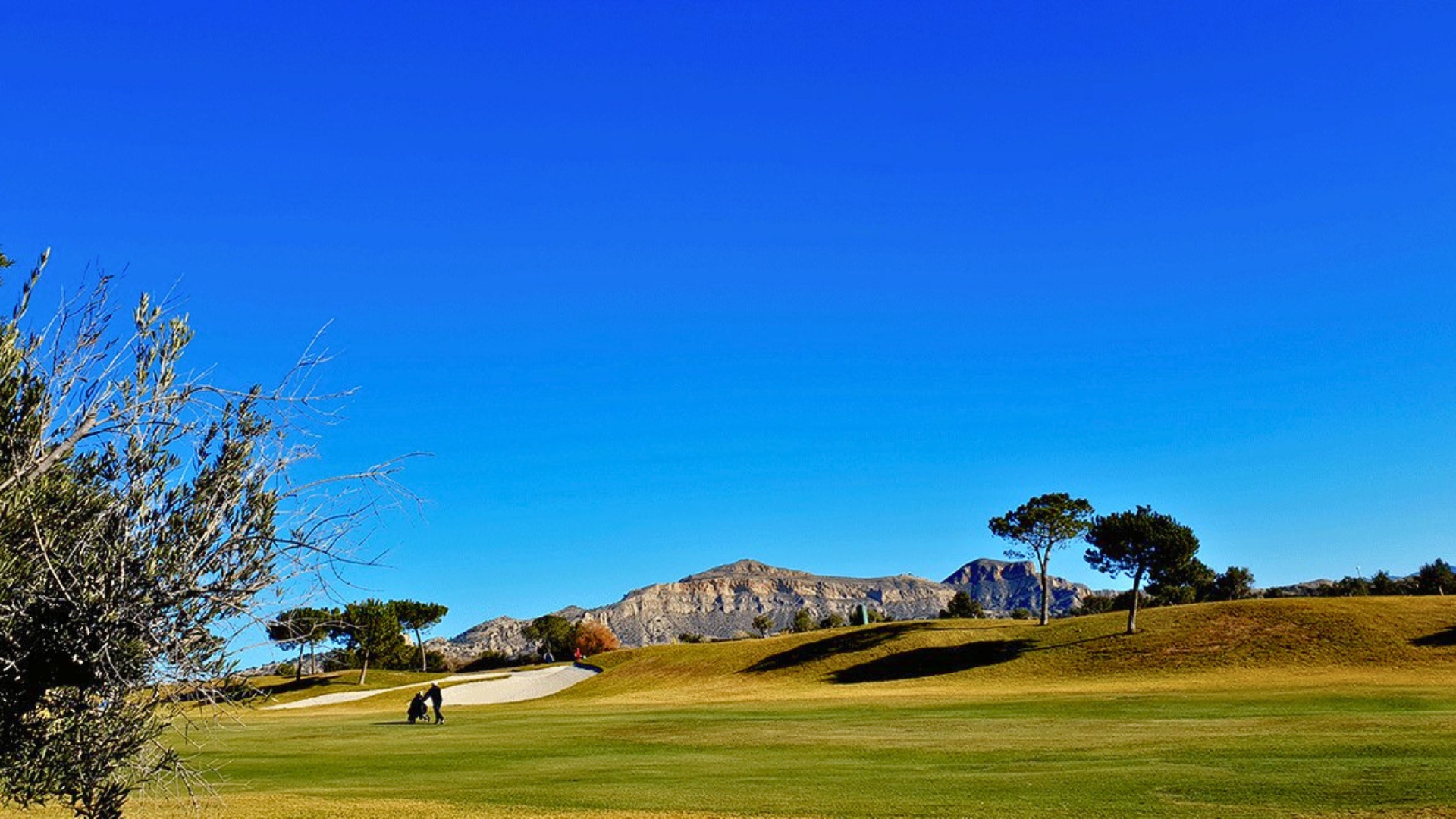 Alenda Golf